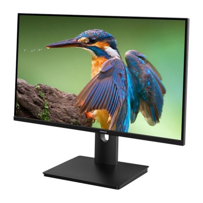 монитор Aiwa MU270A-K Черный
