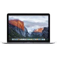 ноутбук Apple MacBook Z0TX0005L Серый
