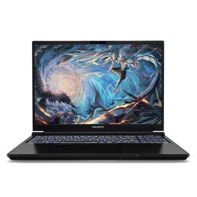 ноутбук Colorful EVOL X16 Pro 23 A10205400059-wpro Черный
