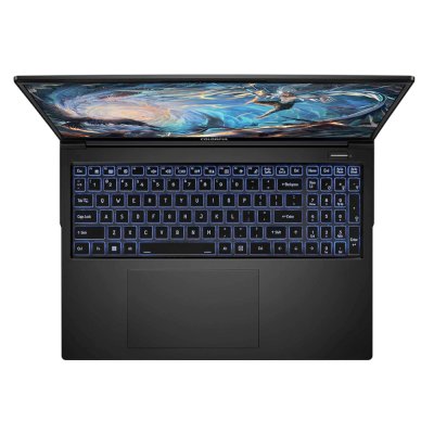 ноутбук Colorful EVOL X16 Pro 23 A10205400059-wpro Черный