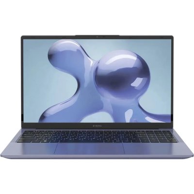 ноутбук Digma Echo DN15A3-8CXW01 Темно-Серый