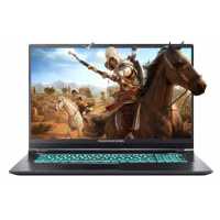 ноутбук Dream Machines RG2060-17RU58 Черный