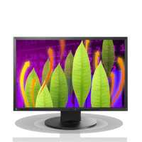монитор Eizo FlexScan EV2216WFS-BK Черный