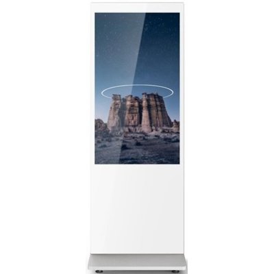 специальный дисплей GoodView L55H10C