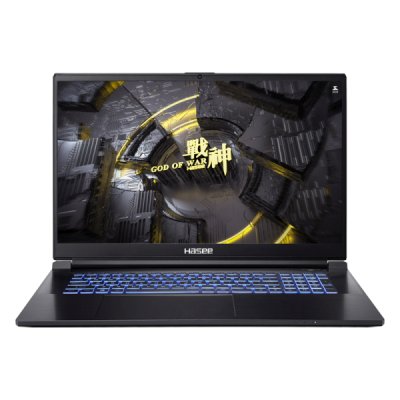 ноутбук Hasee G8R9 04HAG8R9 Черный