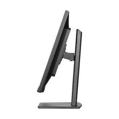 монитор Iiyama ProLite XUB3297QSNP-B1 Черный
