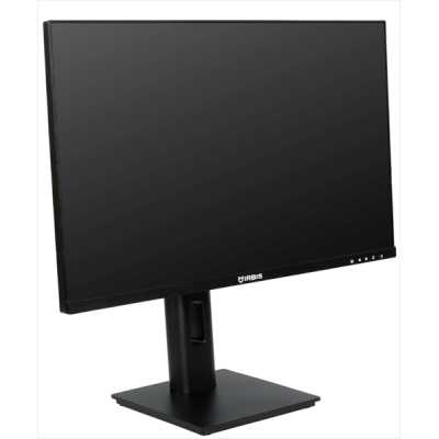 монитор Irbis SmartView ISM24FIDRVesa Черный