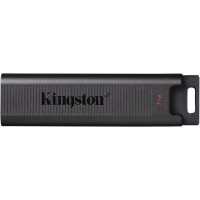 флешка Kingston 1TB DTMAX/1TB Черный