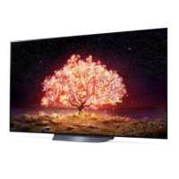 телевизор LG OLED65B1RLA