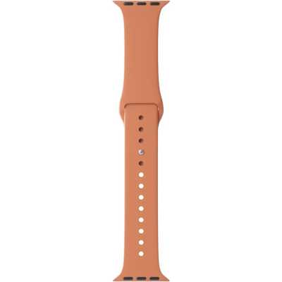 ремешок Lyambda DSJ-01-40-OR