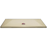 ноутбук MSI GS60 2QE-295 Золотой