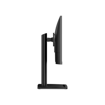 монитор MSI Pro MP253P Черный