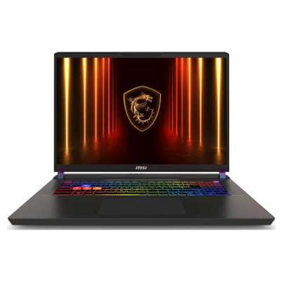 ноутбук MSI Vector 17 HX AI A2XWIG-063XRU Серый