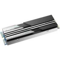 SSD диск Netac NV5000 1Tb NT01NV5000-1T0-E4X Черный