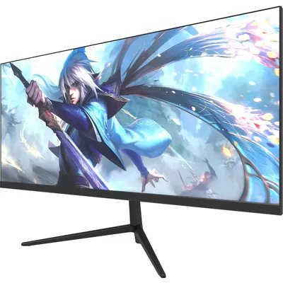 монитор NPC MA3010-V Черный