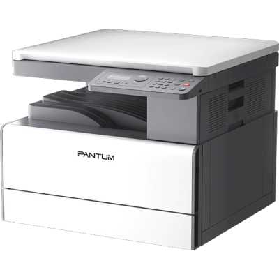 МФУ Pantum BM231N