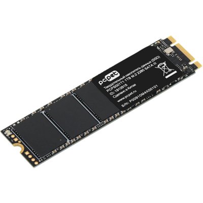 SSD диск PC PET 1Tb PCPS001T1 Черный