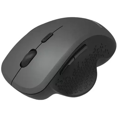 мышь Philips SPK7624B/60 Черный