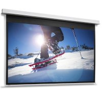 экран для проектора Projecta DescenderPro 10104768