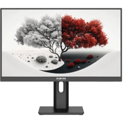 монитор RDW Computers 2401K/F05B0100V2A1H Черный