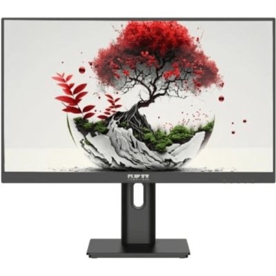 монитор RDW Computers 2401K/F08B3100V2A1A Черный