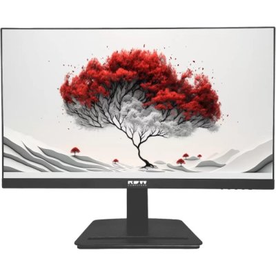монитор RDW Computers 2401K/F08В0120V2A1B Черный