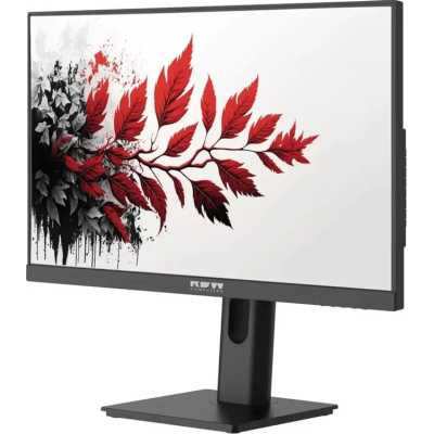 монитор RDW Computers 2701K/F00B0120V2A1 Черный