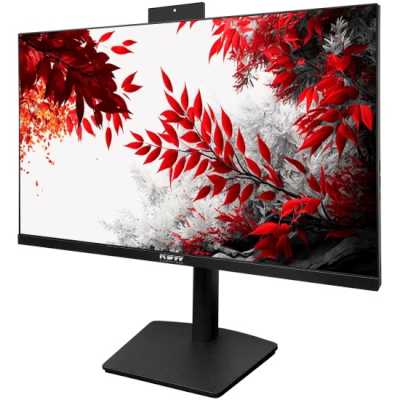 монитор RDW Computers 2702K/Q19В3100V2A1H Черный