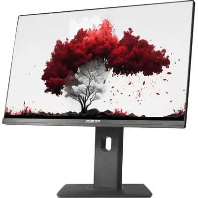 монитор RDW Computers RDW2402K/F00B3 Черный