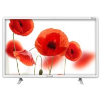 телевизор Telefunken TF-LED24S21T2 Белый