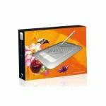 графический планшет Wacom Bamboo Fun Pen&Touch SCTH-461-RU