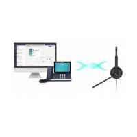 гарнитура Yealink UH34 Lite Dual UC